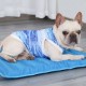 Dog Cooling Shirt Dog Cooling Vest Dog Breathable Shirt for Hot Summer Absorb Water Evaporate Quickly Dog Cooling Shirt Dog Cooling Vest Dog Breathable Shirt for Hot Summer Absorb Water Evaporate Quickly