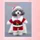 Santa Claus Dog Costume Christmas Pets Clothes Puppy Christmas Coat with Hat Cute Warm Coat Dog Presents Santa Claus Dog Costume Christmas Pets Clothes Puppy Christmas Coat with Hat Cute Warm Coat Dog Presents