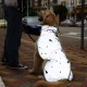 Waterproof Dog Hoodie Dog Raincoat Dog Poncho Jacket Waterproof Dog Jacket Windproof Dog Jacket Poncho Jacket for Medium Large Dogs Waterproof Dog Hoodie Dog Raincoat Dog Poncho Jacket Waterproof Dog Jacket Windproof Dog Jacket Poncho Jacket for Medium Large Dogs