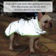 Waterproof Dog Hoodie Dog Raincoat Dog Poncho Jacket Waterproof Dog Jacket Windproof Dog Jacket Poncho Jacket for Medium Large Dogs Waterproof Dog Hoodie Dog Raincoat Dog Poncho Jacket Waterproof Dog Jacket Windproof Dog Jacket Poncho Jacket for Medium Large Dogs