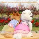 Dog Dress Dog Skirt Dog Floral Skirt Elegant Summer Dress for Small Medium Large Dogs Pets Dog Dress Dog Skirt Dog Floral Skirt Elegant Summer Dress for Small Medium Large Dogs Pets