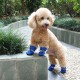 Antiskid Puppy Shoes 4pcs Soft-soled Dog Shoes with Adjustable Drawstring Waterproof Dog Boots Pet Paw Care Protector for Small, Medium Pets Dogs Antiskid Puppy Shoes 4pcs Soft-soled Dog Shoes with Adjustable Drawstring Waterproof Dog Boots Pet Paw Care Protector for Small, Medium Pets Dogs