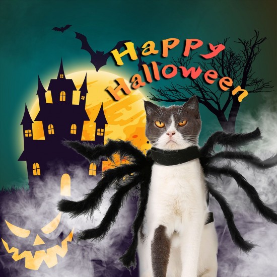 Halloween Dogs Cats Spider Costume Pet Party Outfits for Small Dogs Cats Halloween Dogs Cats Spider Costume Pet Party Outfits for Small Dogs Cats
