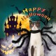 Halloween Dogs Cats Spider Costume Pet Party Outfits for Small Dogs Cats Halloween Dogs Cats Spider Costume Pet Party Outfits for Small Dogs Cats