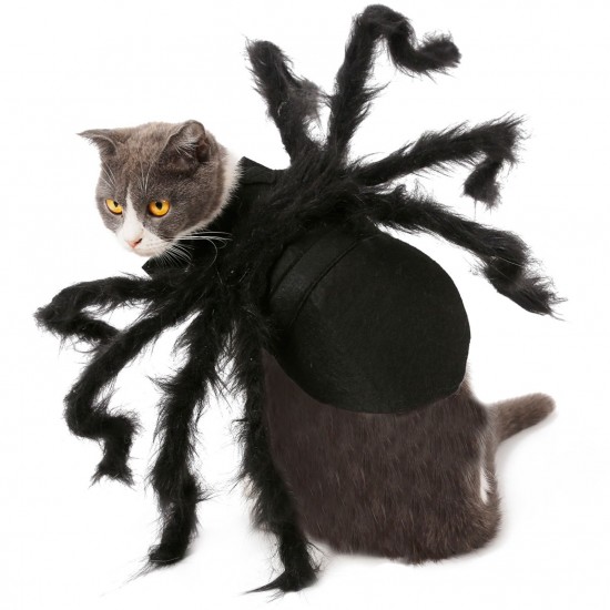 Halloween Dogs Cats Spider Costume Pet Party Outfits for Small Dogs Cats Halloween Dogs Cats Spider Costume Pet Party Outfits for Small Dogs Cats