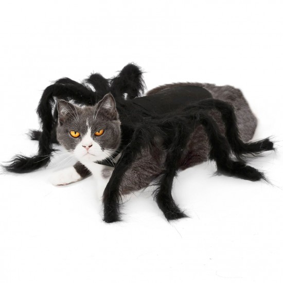 Halloween Dogs Cats Spider Costume Pet Party Outfits for Small Dogs Cats Halloween Dogs Cats Spider Costume Pet Party Outfits for Small Dogs Cats