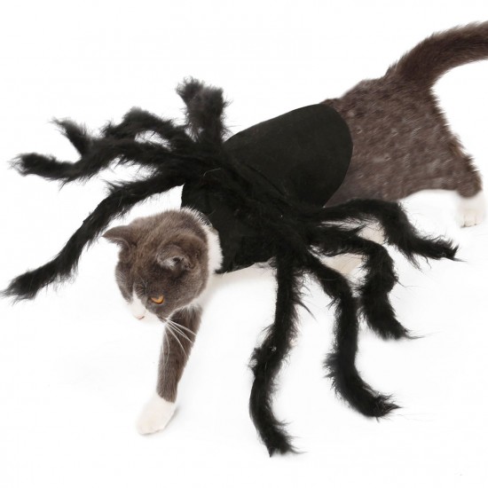 Halloween Dogs Cats Spider Costume Pet Party Outfits for Small Dogs Cats Halloween Dogs Cats Spider Costume Pet Party Outfits for Small Dogs Cats