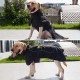 Dog Winter Coat Waterproof Reflective Warm Fleece Jacket for Dog Dog Winter Coat Waterproof Reflective Warm Fleece Jacket for Dog