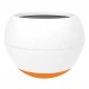 els pet Pet Dog Feeder Slow Food Eating No Spill Pet Bowl Interactive Tumbler Anti-Choking Dog Feeding Bowl for Dogs Cats Pets els pet Pet Dog Feeder Slow Food Eating No Spill Pet Bowl Interactive Tumbler Anti-Choking Dog Feeding Bowl for Dogs Cats Pets