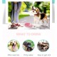 Portable Pet Dog Water Bottle For Small and Large Dogs Travel Puppy Drinking Bowl Outdoor Pet Water Dispenser Feeder Portable Pet Dog Water Bottle For Small and Large Dogs Travel Puppy Drinking Bowl Outdoor Pet Water Dispenser Feeder