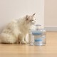 Cat Water Fountain 2.6L/88oz Pet Water Fountain Transparent Automatic Cat Water Dispenser Silent Drinking for Cats Dogs Multiple Pets Cat Water Fountain 2.6L/88oz Pet Water Fountain Transparent Automatic Cat Water Dispenser Silent Drinking for Cats Dogs Multiple Pets