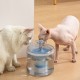 Cat Water Fountain 2.6L/88oz Pet Water Fountain Transparent Automatic Cat Water Dispenser Silent Drinking for Cats Dogs Multiple Pets Cat Water Fountain 2.6L/88oz Pet Water Fountain Transparent Automatic Cat Water Dispenser Silent Drinking for Cats Dogs Multiple Pets