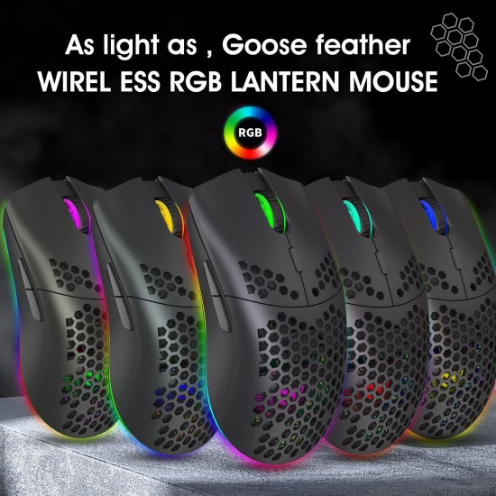 T66 RGB 2.4G Wireless Gaming Mouse RGB Lighting Charging Mouse with Adjustable DPI Ergonomic Design for Desktop Laptop Black T66 RGB 2.4G Wireless Gaming Mouse RGB Lighting Charging Mouse with Adjustable DPI Ergonomic Design for Desktop Laptop Black