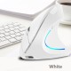 2.4G Wireless Vertical Mouse Rechargeable Upright Ergonomic Mouse 3 Adjustable DPI Levels RGB Flowing Light Plug N Play, Black 2.4G Wireless Vertical Mouse Rechargeable Upright Ergonomic Mouse 3 Adjustable DPI Levels RGB Flowing Light Plug N Play, Black