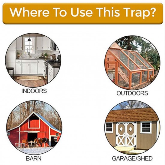 Rat Traps Flip slide Bucket Mouse Trap Walk The Plank Automatic Trap for 5-Gal Water Injection Effective Rat Repellent at Indoor/Outdoor Barn Garage Shed Rat Traps Flip slide Bucket Mouse Trap Walk The Plank Automatic Trap for 5-Gal Water Injection Effective Rat Repellent at Indoor/Outdoor Barn Garage Shed