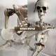35’’ Halloweens Skeleton Full Body Realistic Human Bones with Movable Joints Posable Joints Pose Skeleton Prop Decoration 35’’ Halloweens Skeleton Full Body Realistic Human Bones with Movable Joints Posable Joints Pose Skeleton Prop Decoration