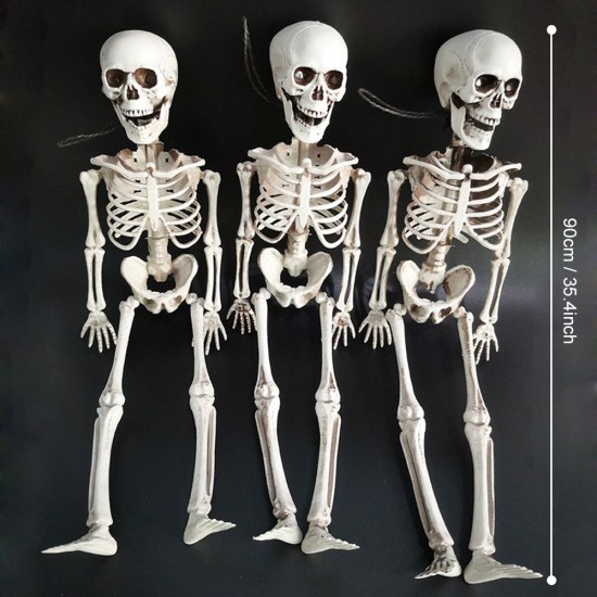 35’’ Halloweens Skeleton Full Body Realistic Human Bones with Movable Joints Posable Joints Pose Skeleton Prop Decoration 35’’ Halloweens Skeleton Full Body Realistic Human Bones with Movable Joints Posable Joints Pose Skeleton Prop Decoration