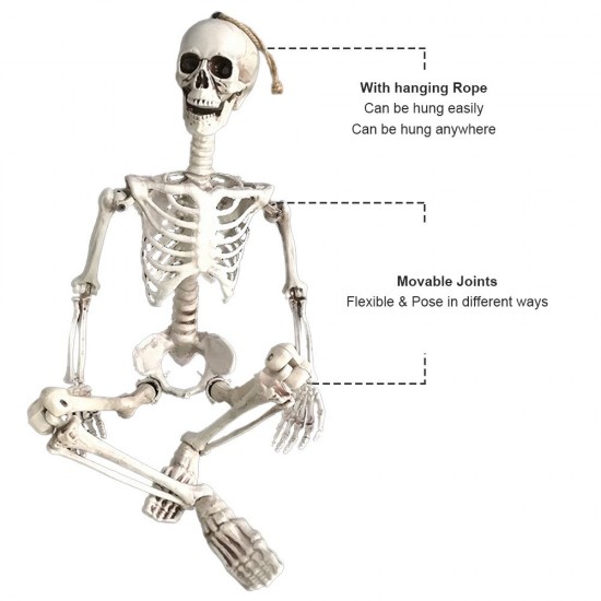 35’’ Halloweens Skeleton Full Body Realistic Human Bones with Movable Joints Posable Joints Pose Skeleton Prop Decoration 35’’ Halloweens Skeleton Full Body Realistic Human Bones with Movable Joints Posable Joints Pose Skeleton Prop Decoration