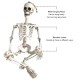 35’’ Halloweens Skeleton Full Body Realistic Human Bones with Movable Joints Posable Joints Pose Skeleton Prop Decoration 35’’ Halloweens Skeleton Full Body Realistic Human Bones with Movable Joints Posable Joints Pose Skeleton Prop Decoration
