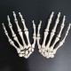 35’’ Halloweens Skeleton Full Body Realistic Human Bones with Movable Joints Posable Joints Pose Skeleton Prop Decoration 35’’ Halloweens Skeleton Full Body Realistic Human Bones with Movable Joints Posable Joints Pose Skeleton Prop Decoration