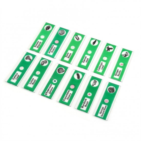 Microscope Sample Prepared Slides 48pcs Sample Specimens Prepared Microscope Slides of Animals Insects Plants Flowers for Biological Science Education Microscope Sample Prepared Slides 48pcs Sample Specimens Prepared Microscope Slides of Animals Insects Plants Flowers for Biological Science Education