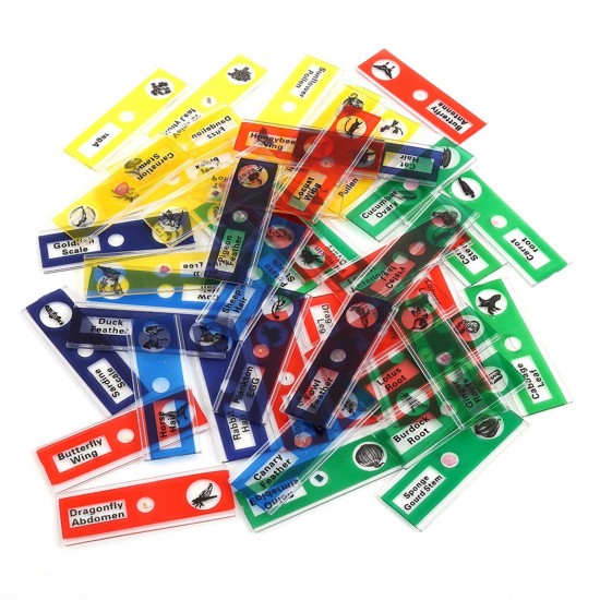 Microscope Sample Prepared Slides 48pcs Sample Specimens Prepared Microscope Slides of Animals Insects Plants Flowers for Biological Science Education Microscope Sample Prepared Slides 48pcs Sample Specimens Prepared Microscope Slides of Animals Insects Plants Flowers for Biological Science Education