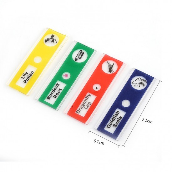 Microscope Sample Prepared Slides 48pcs Sample Specimens Prepared Microscope Slides of Animals Insects Plants Flowers for Biological Science Education Microscope Sample Prepared Slides 48pcs Sample Specimens Prepared Microscope Slides of Animals Insects Plants Flowers for Biological Science Education