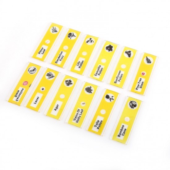 Microscope Sample Prepared Slides 48pcs Sample Specimens Prepared Microscope Slides of Animals Insects Plants Flowers for Biological Science Education Microscope Sample Prepared Slides 48pcs Sample Specimens Prepared Microscope Slides of Animals Insects Plants Flowers for Biological Science Education