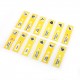 Microscope Sample Prepared Slides 48pcs Sample Specimens Prepared Microscope Slides of Animals Insects Plants Flowers for Biological Science Education Microscope Sample Prepared Slides 48pcs Sample Specimens Prepared Microscope Slides of Animals Insects Plants Flowers for Biological Science Education